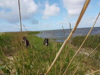 Ferienhaus Bork Havn  15