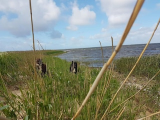 Vakantiehuis Bork Havn  26