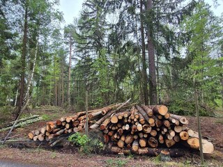 Vakantiehuis Adelsö  18