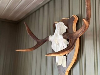 Vakantiehuis Höljes  24