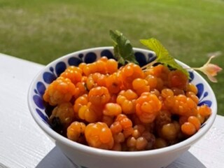 Vakantiehuis Höljes  34