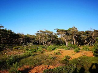 Ferienhaus Heberg  5