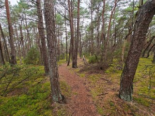 Ferienhaus Heberg  7