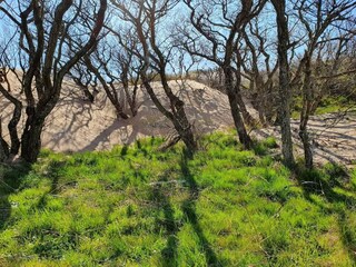 Vakantiehuis Heberg  8