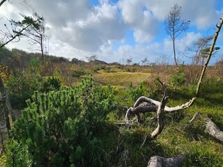 Casa per le vacanze Heberg  36