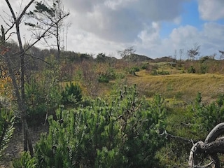 Ferienhaus Heberg  47