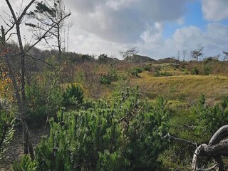 Holiday house Heberg  47