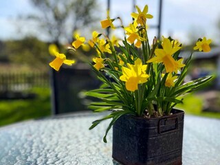 Vakantiehuis Uddevalla Buitenaudio-opname 8