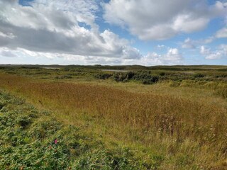 Vakantiehuis Thyborøn  20