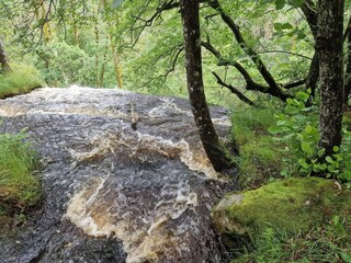 Casa per le vacanze Uddevalla  27
