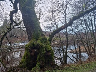 Casa per le vacanze Uddevalla  3
