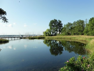 Der Westerwerker See direkt am Yachthafen