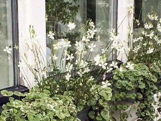 Ferienhaus Ingarö Außenaufnahme 12