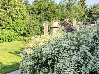 Vakantiehuis Ingarö Buitenaudio-opname 17