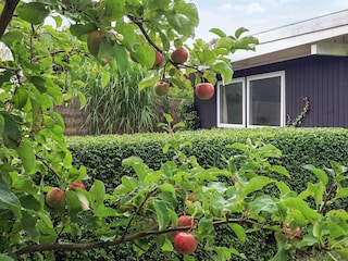 Ferienhaus Dronningmølle  24