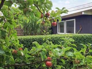 Vakantiehuis Dronningmølle  12