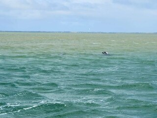 Casa per le vacanze Thyborøn  28