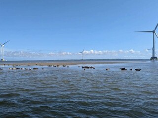 Ferienhaus Thyborøn  36
