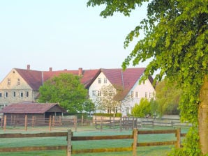 Vakantieappartement Holkenbrink