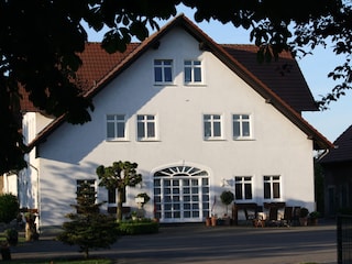 View of the yard