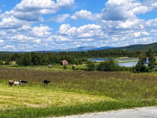 Vakantiehuis Welt  33