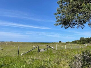 Vakantiehuis Welt Buitenaudio-opname 7