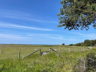 Ferienhaus Welt Außenaufnahme 1