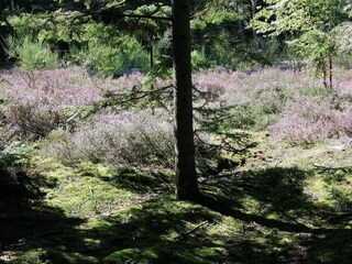 Vakantiehuis Aalbæk  35