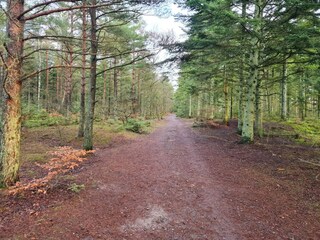 Vakantiehuis Aalbæk  13