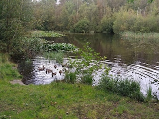 Vakantiehuis Aalbæk  18