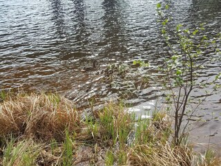 Ferienhaus Säffle  27