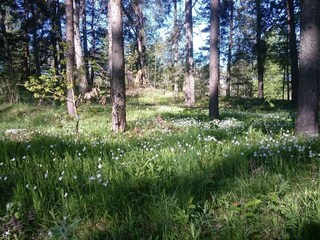 Holiday house Säffle  24