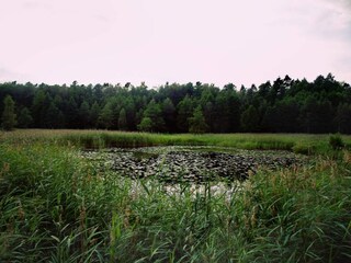 Ferienhaus Säffle  27