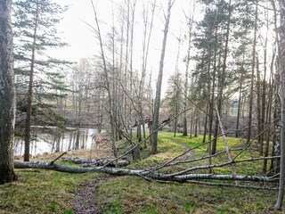 Vakantiehuis Säffle  32