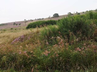 Casa per le vacanze Gatten  19