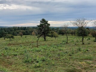 Maison de vacances Gatten  20