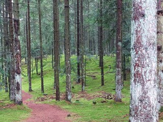 Casa per le vacanze Gatten  36