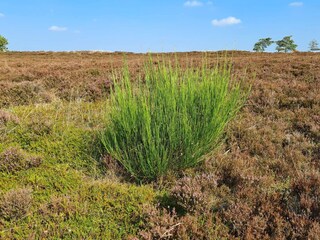 Vakantiehuis Gatten  23