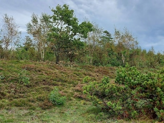 Maison de vacances Gatten  25