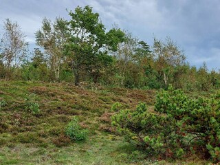 Vakantiehuis Gatten  25