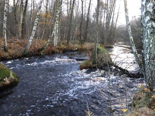 Casa per le vacanze Örkelljunga  28