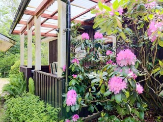 Casa de vacaciones Örkelljunga Grabación al aire libre 3