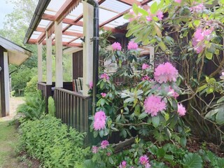 Ferienhaus Örkelljunga Außenaufnahme 12