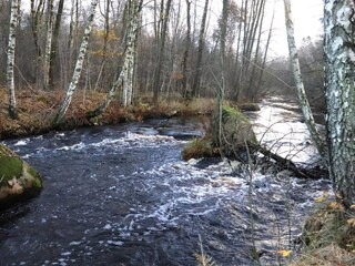 Casa per le vacanze Örkelljunga  29