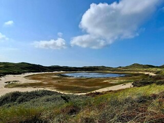 Ferienhaus Snedsted  39