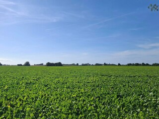 Ferienhaus Næsby Strand (Lolland)  35