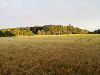 Ferienhaus Næsby Strand (Lolland)  34