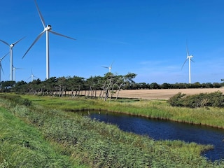 Ferienhaus Næsby Strand (Lolland)  41
