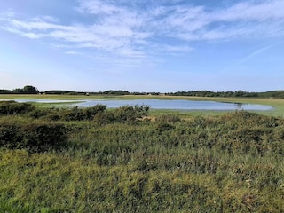 Ferienhaus Næsby Strand (Lolland)  42