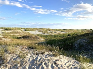 Ferienhaus Glemmingebro Außenaufnahme 7